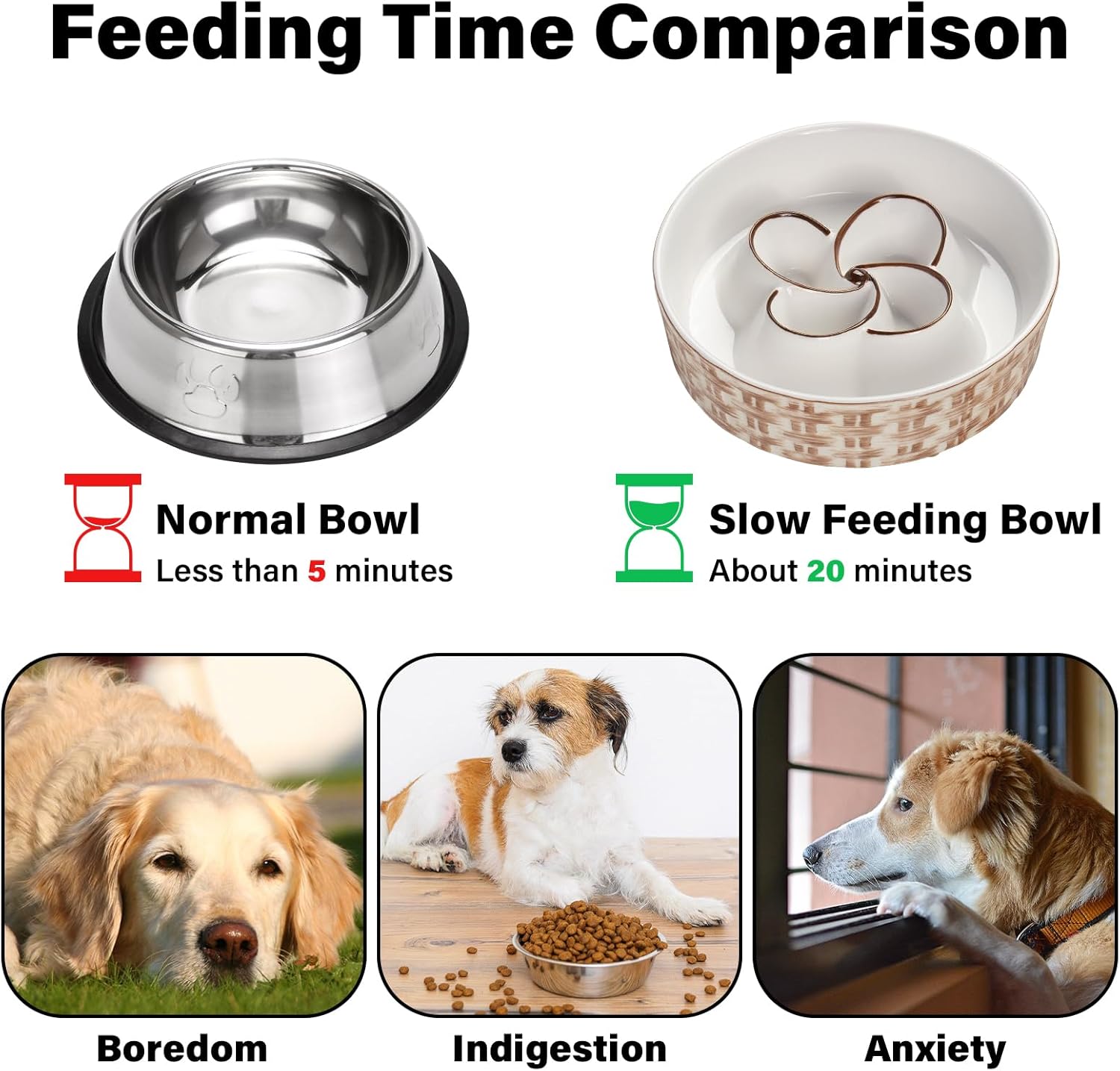 Slow Feeder Dog Bowl