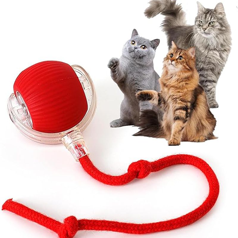 SensorSpin Rechargeable Ball