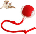 360 Smart Pet Ball