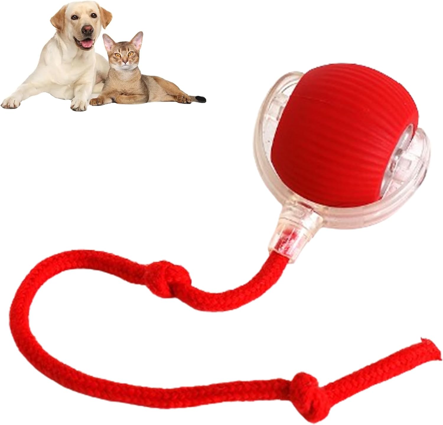 360 Smart Pet Ball