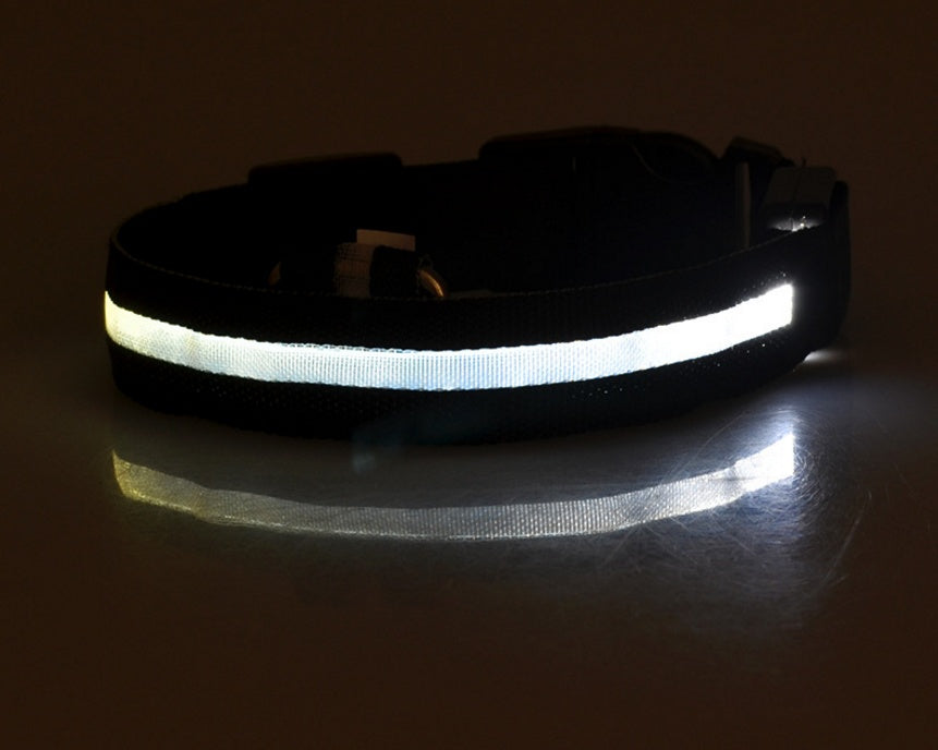 Adjustable LED Glow Collar & Leash for Pets