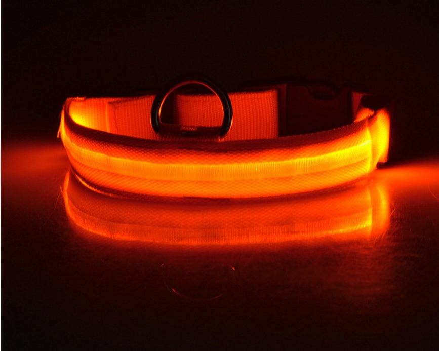 Adjustable LED Glow Collar & Leash for Pets