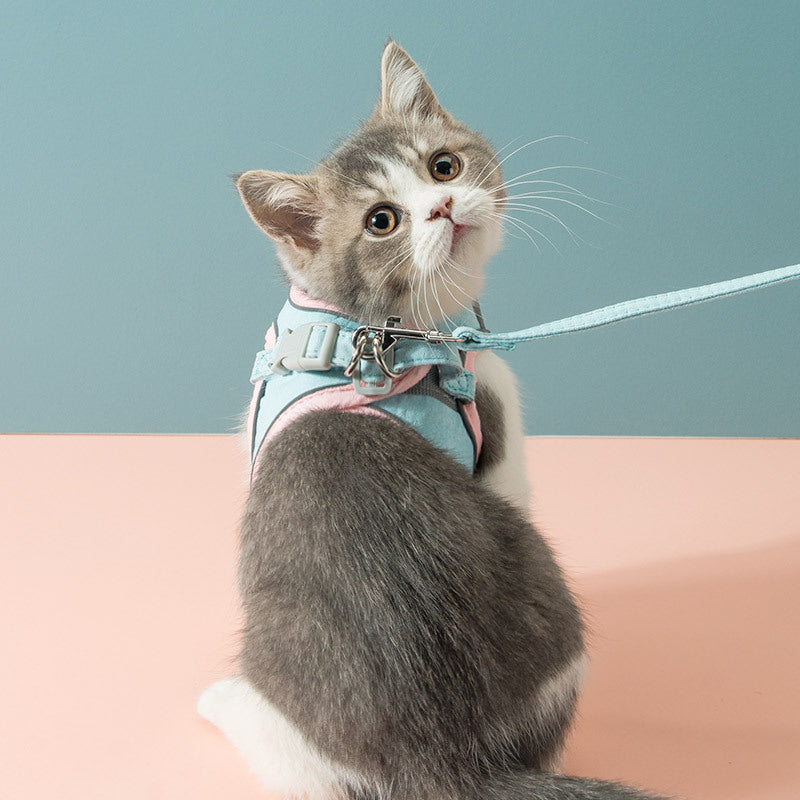 Escape-Proof Cat Harness & Leash Set