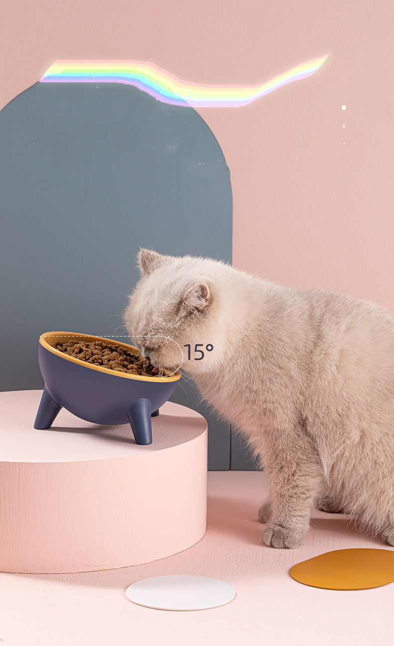Elevated Nordic Pet Feeding Bowl with Stand