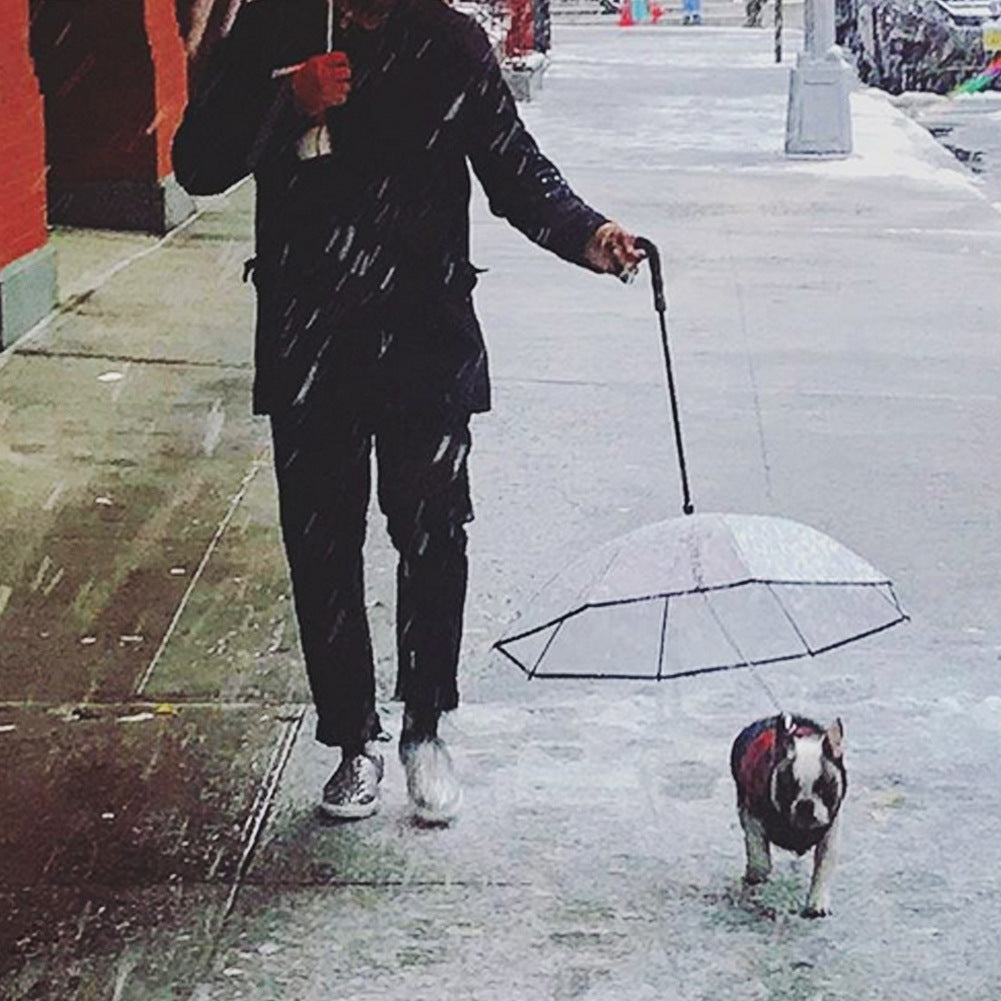 Transparent Dog Umbrella with Leash Attachment