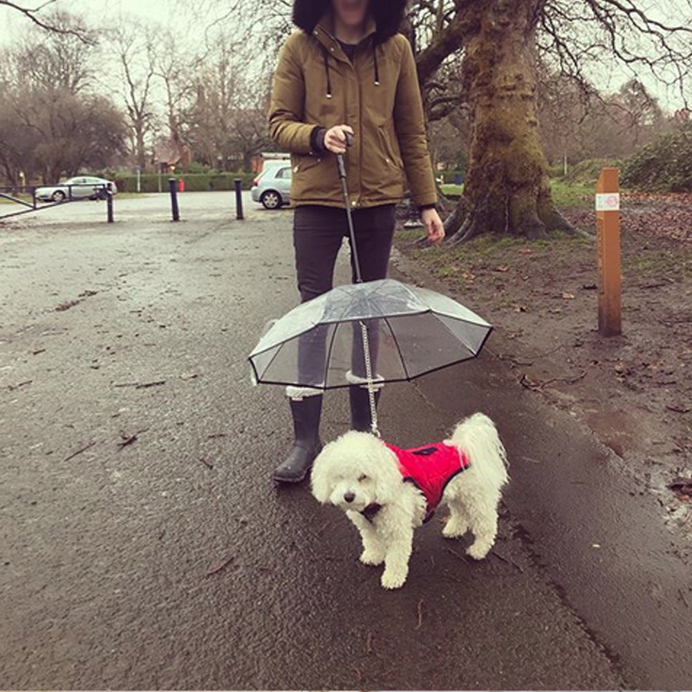 Transparent Dog Umbrella with Leash Attachment