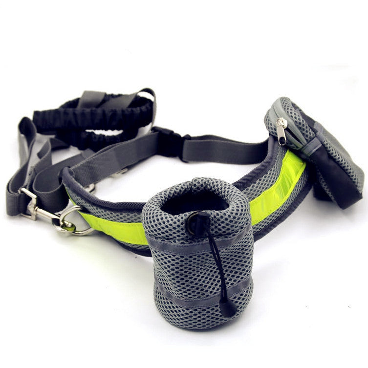 Hands-Free Adjustable Dog Leash