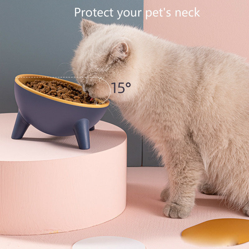 Elevated Nordic Pet Feeding Bowl with Stand