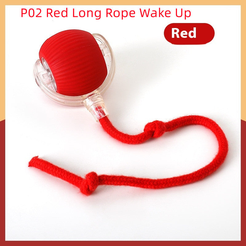 SuperDrive Rolling Ball