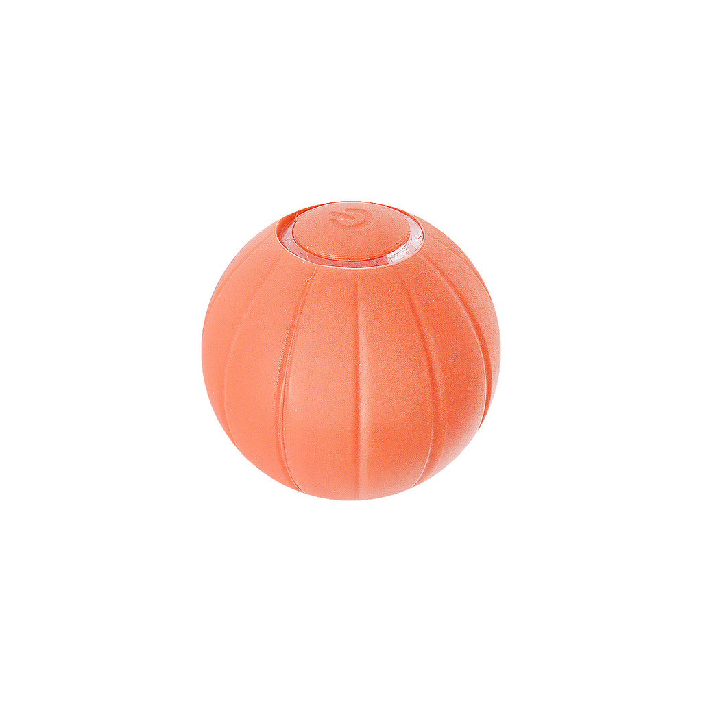Bounce & Bite Silicone Ball