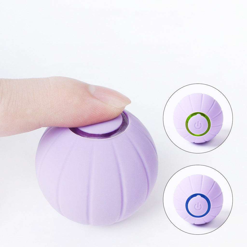 Bounce & Bite Silicone Ball