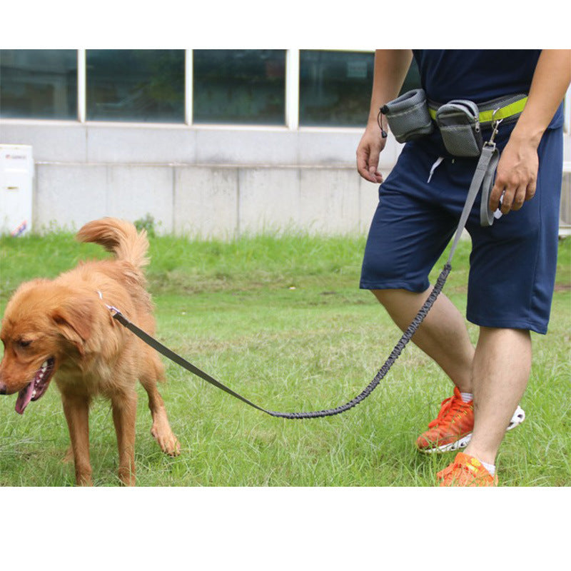 Hands-Free Adjustable Dog Leash