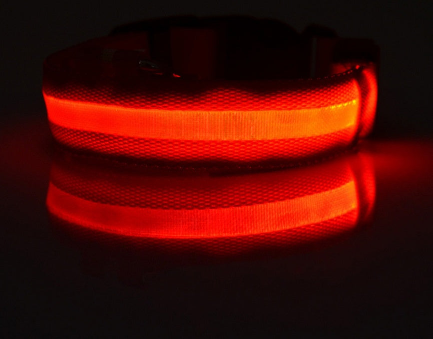 Adjustable LED Glow Collar & Leash for Pets
