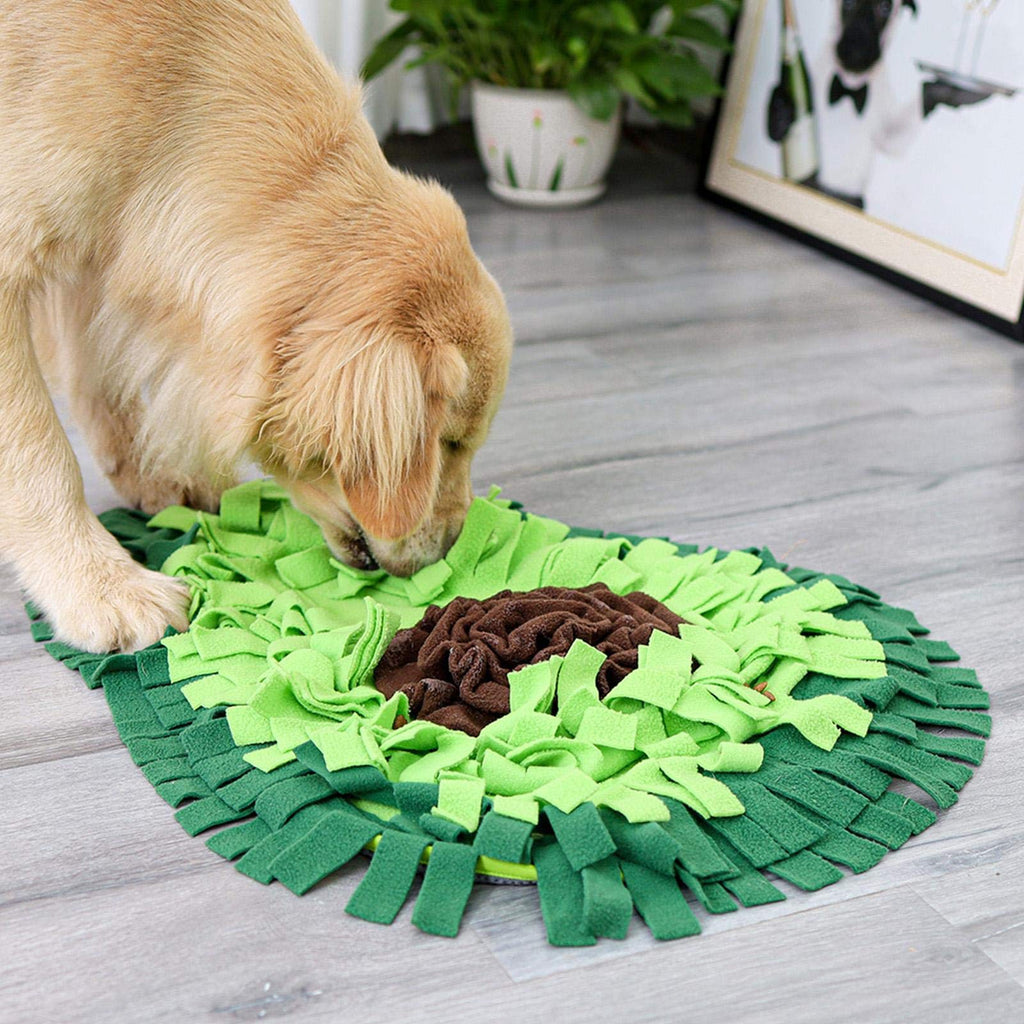 Dog Sniffing Mat