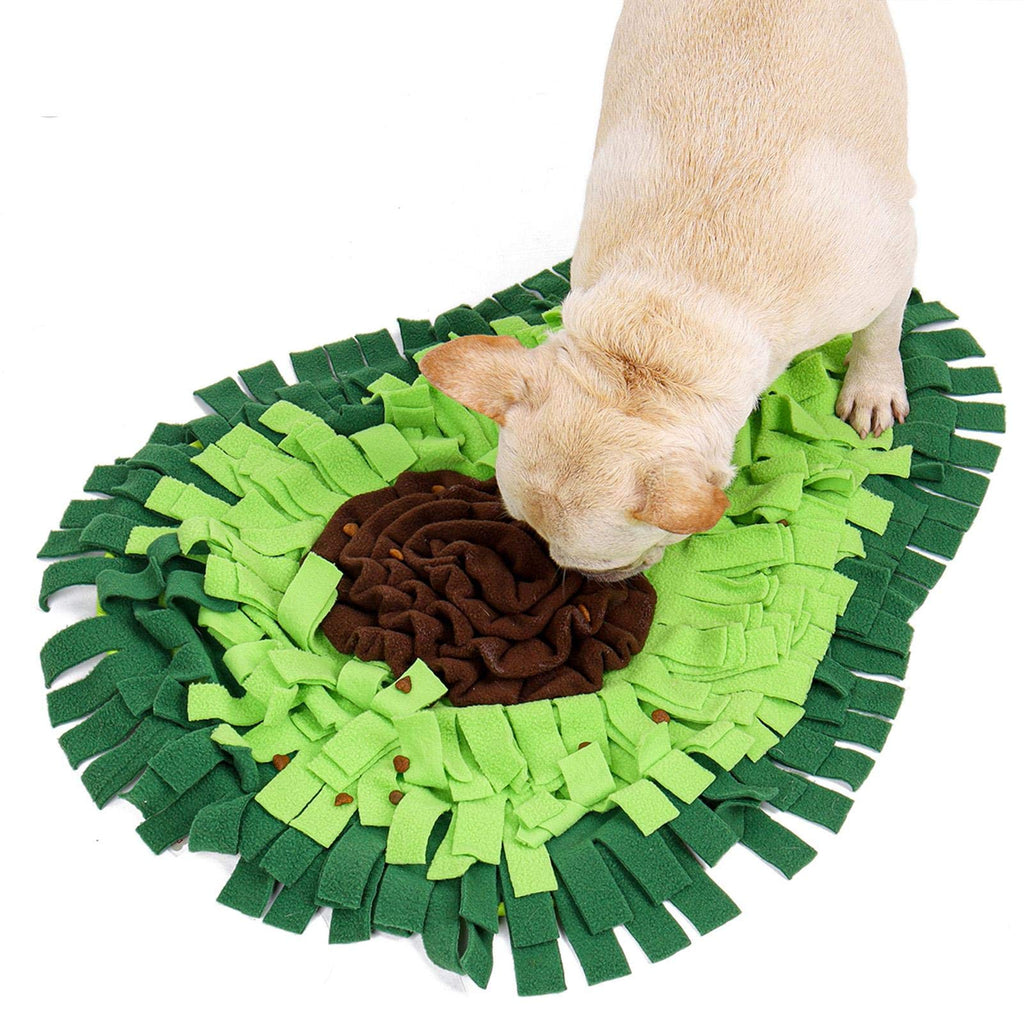 Dog Sniffing Mat
