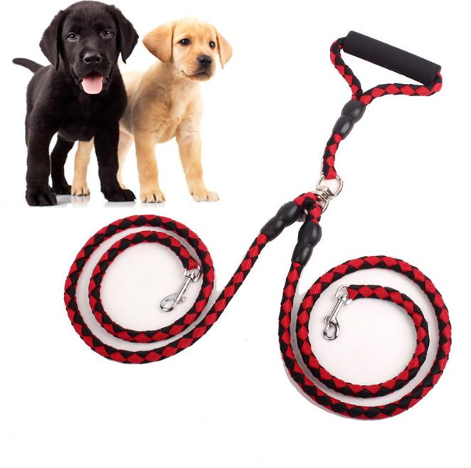 Double-Ended Dog Leash with Collar Attachment