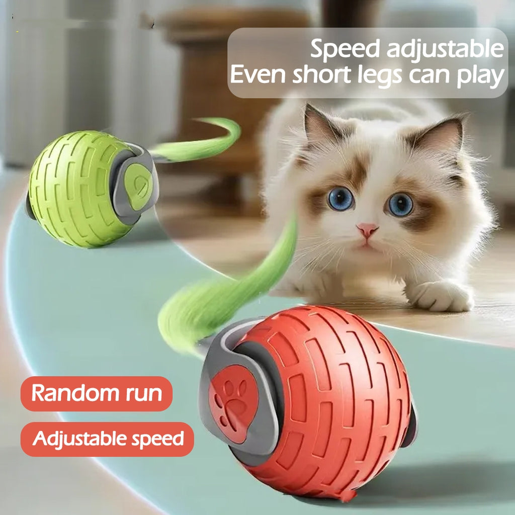 AutoRoll Teaser Ball
