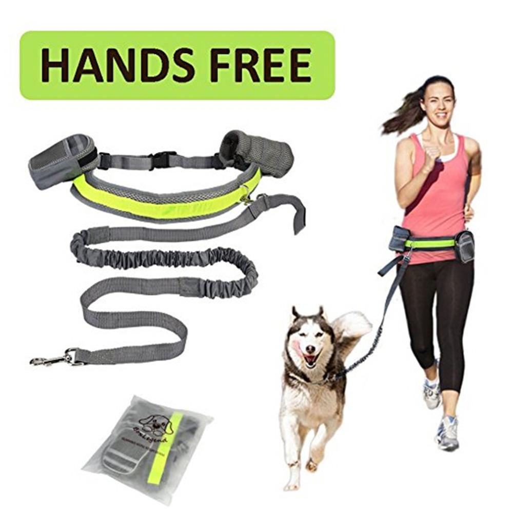 Hands-Free Adjustable Dog Leash