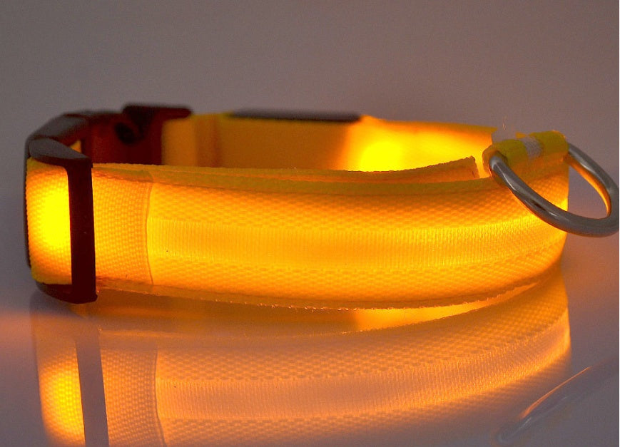Adjustable LED Glow Collar & Leash for Pets