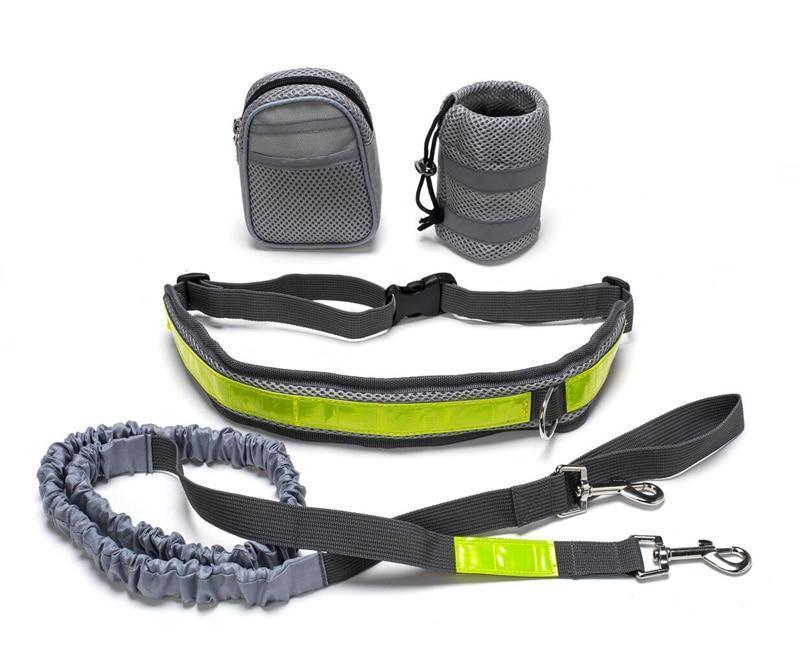 Hands-Free Adjustable Dog Leash