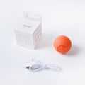 Bounce & Bite Silicone Ball