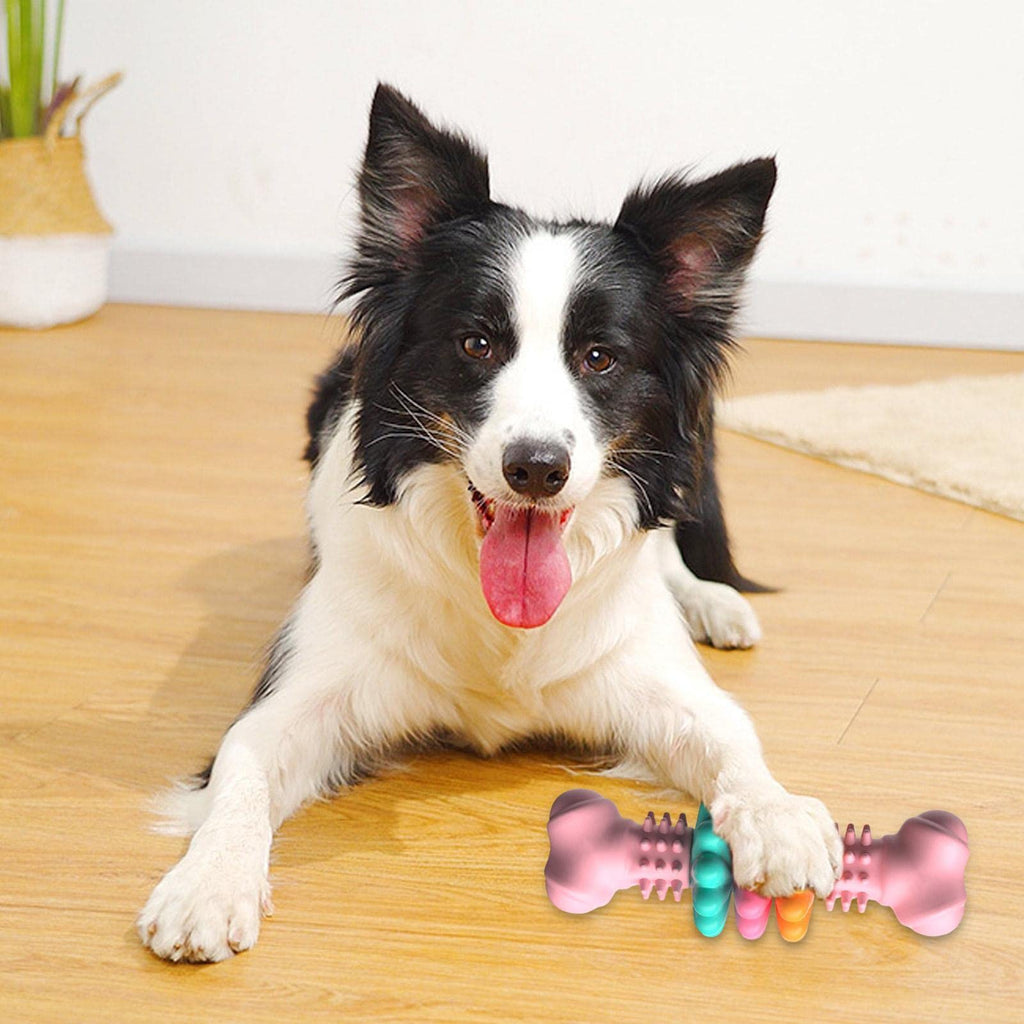 Indestructible TPR Bone Chew Toy for Dogs