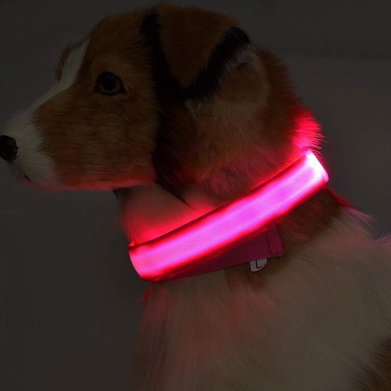 Adjustable LED Glow Collar & Leash for Pets