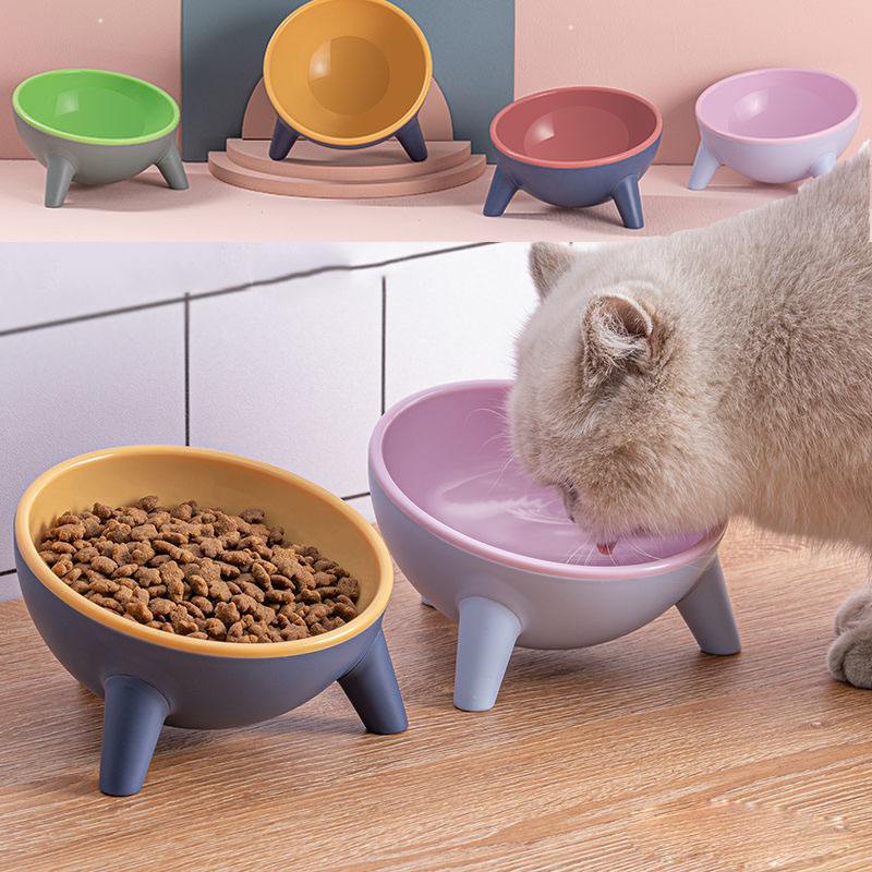 Elevated Nordic Pet Feeding Bowl with Stand
