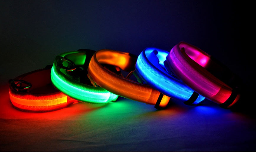 Adjustable LED Glow Collar & Leash for Pets