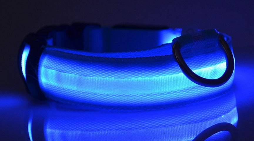Adjustable LED Glow Collar & Leash for Pets