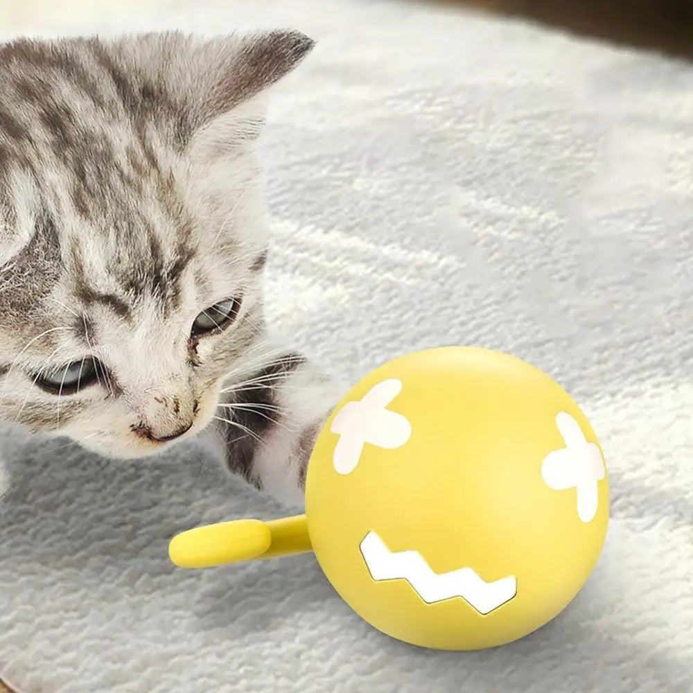USB RoamBall