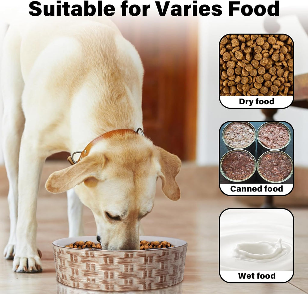 Slow Feeder Dog Bowl