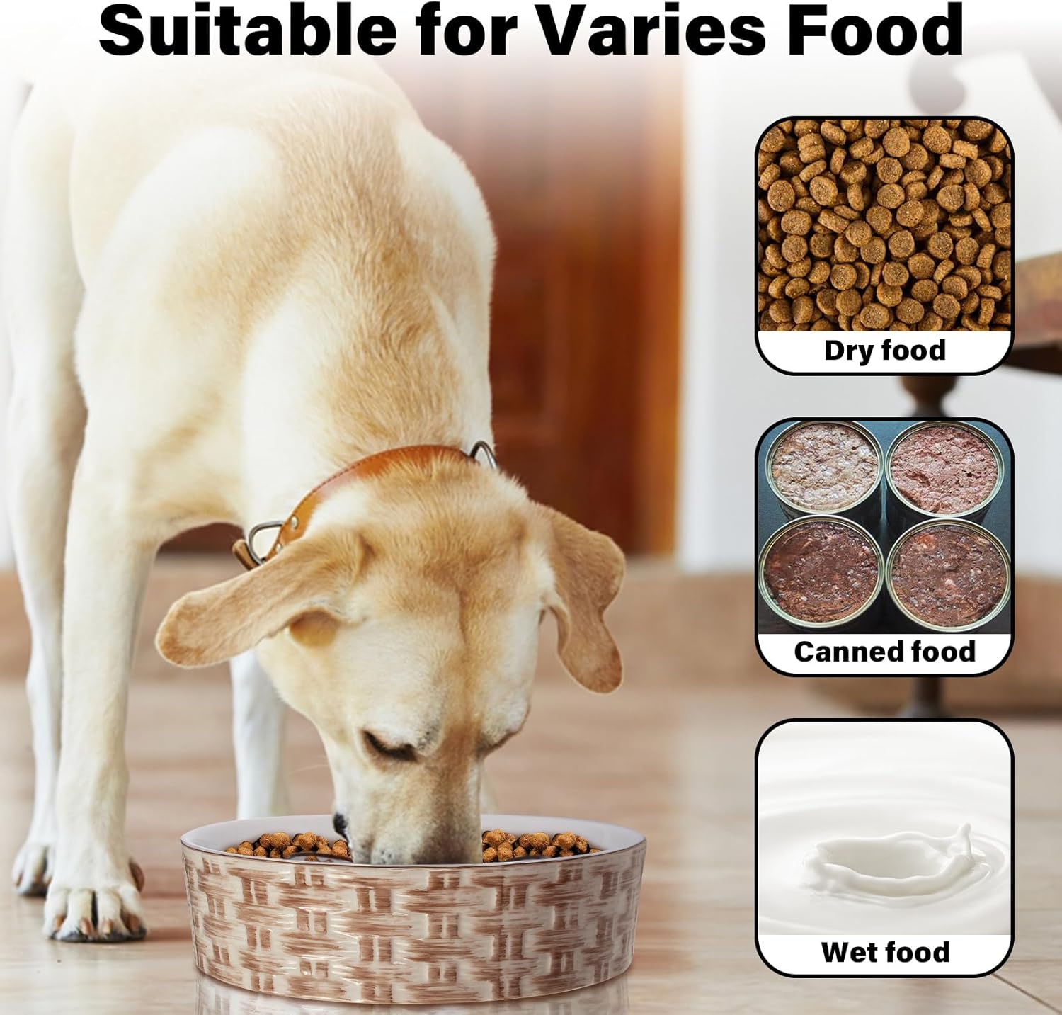 Slow Feeder Dog Bowl