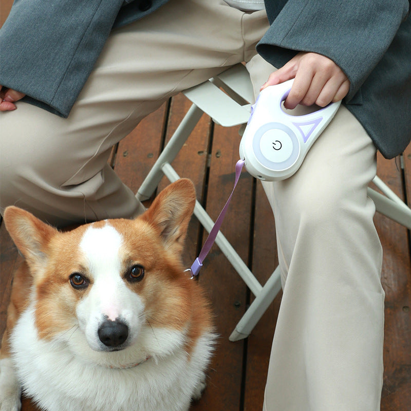 Retractable Dog Leash with Spotlight & Collar