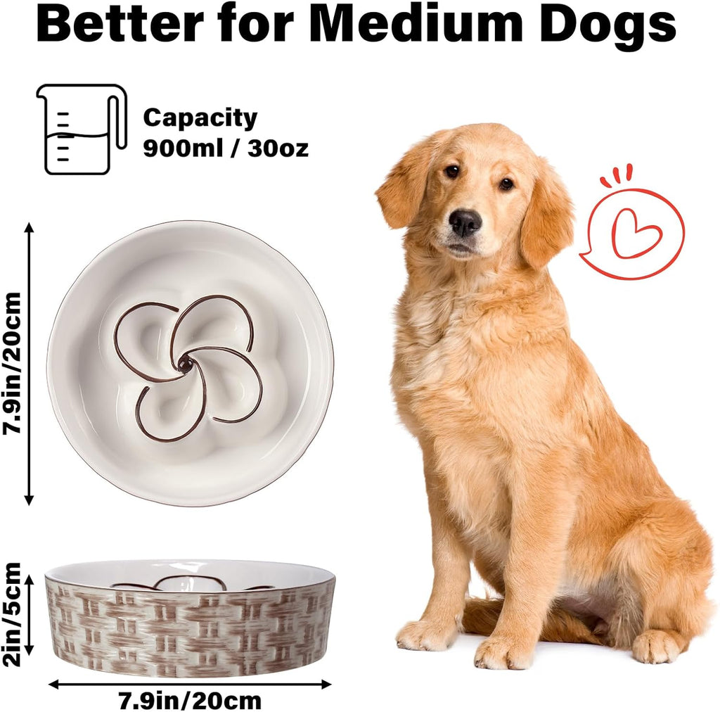 Slow Feeder Dog Bowl
