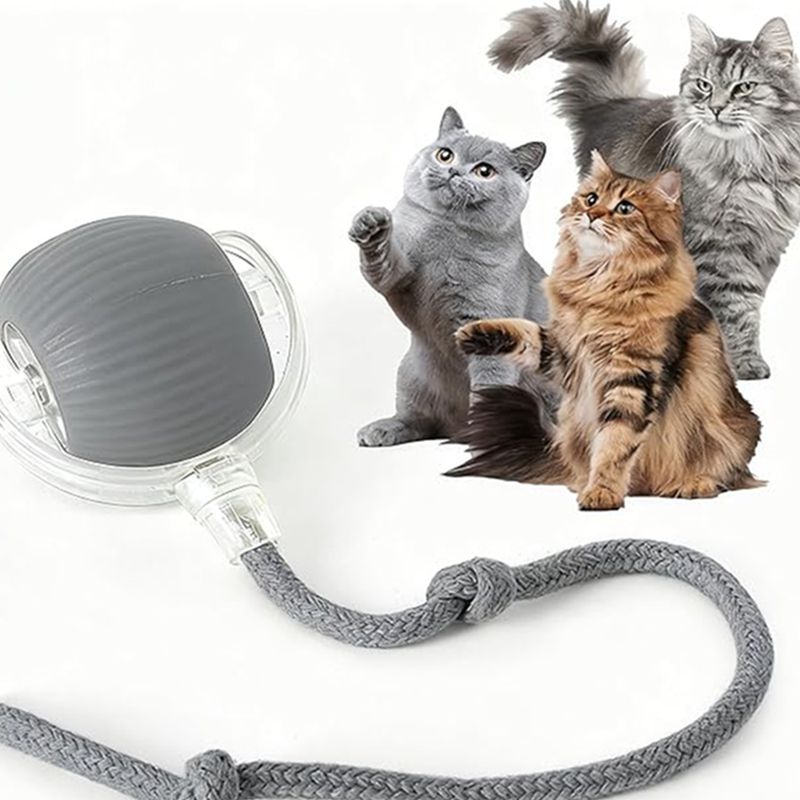 SensorSpin Rechargeable Ball