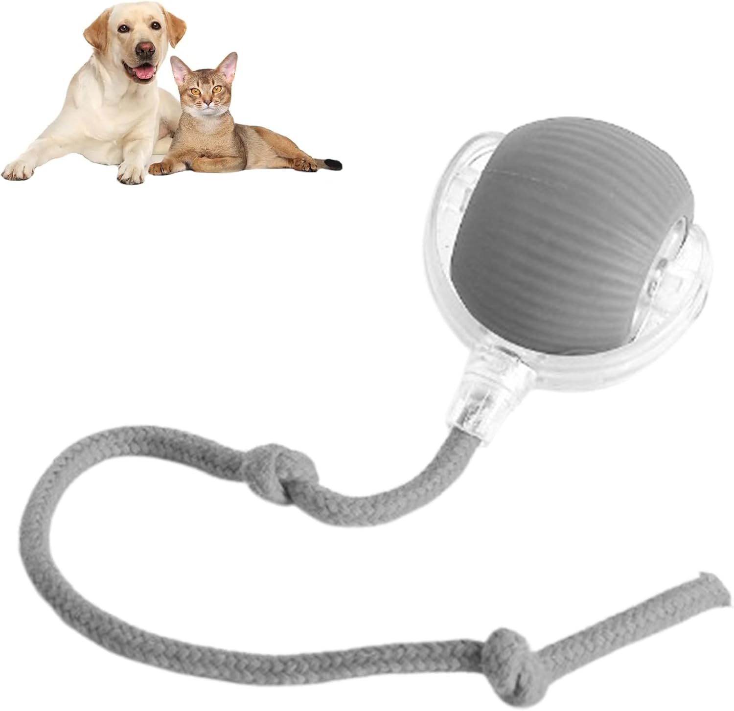 360 Smart Pet Ball