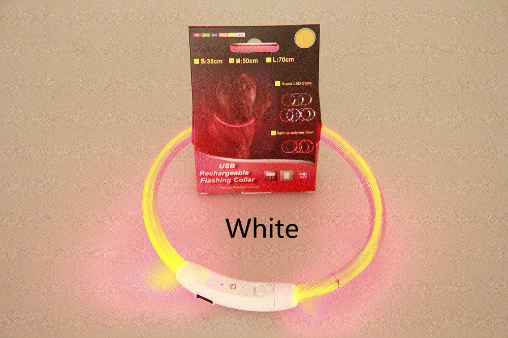 USB Rechargeable LED Safety Collar for Night Walks