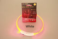 USB Rechargeable LED Safety Collar for Night Walks