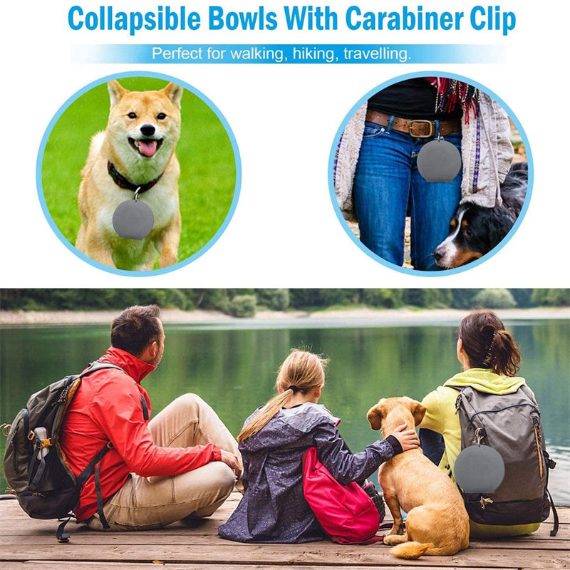 Foldable Rubber Double Bowl for Dogs & Cats