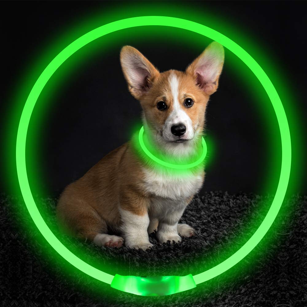 USB Rechargeable LED Safety Collar for Night Walks