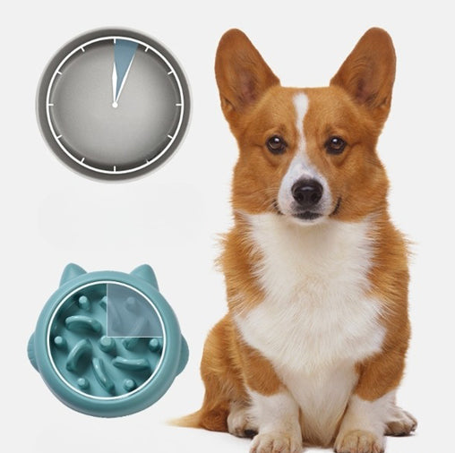 Anti-Gulping Slow Feeder Bowl for Dogs & Cats