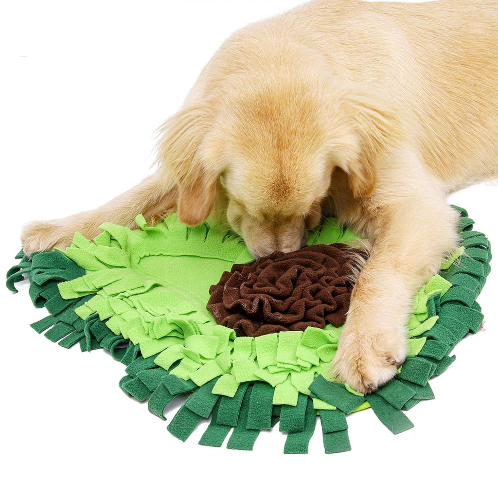 Dog Sniffing Mat