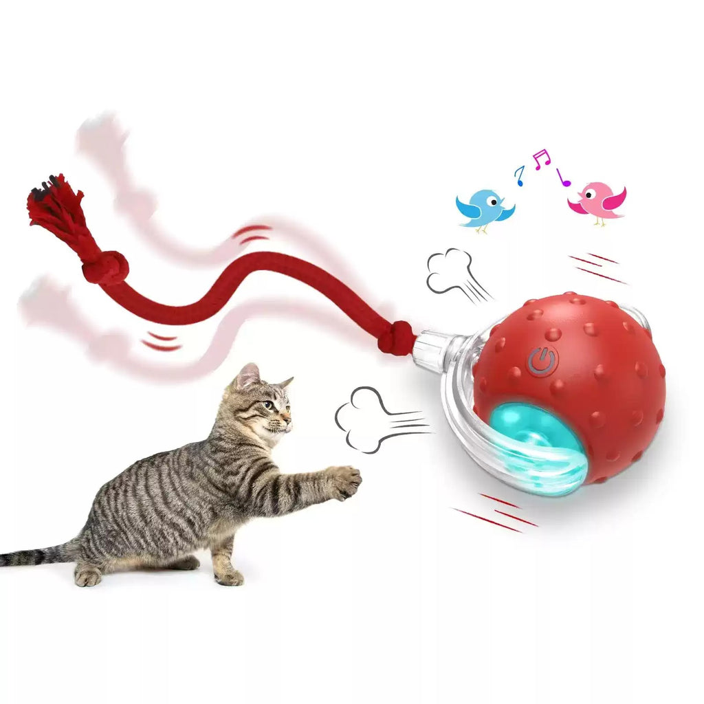 SuperDrive Ball Pro