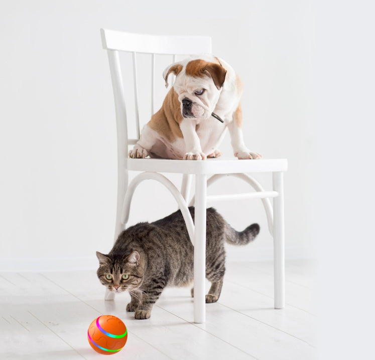 USB Self-Rotating Interactive Ball for Cats