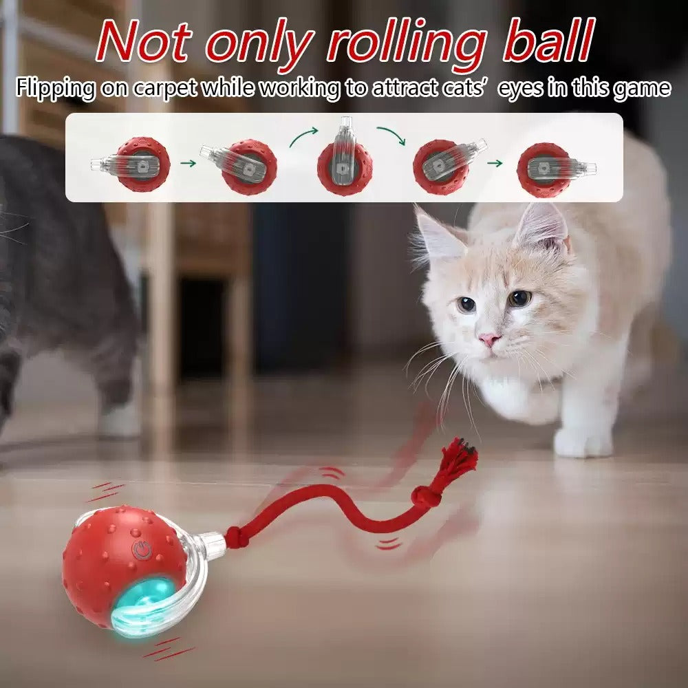 SuperDrive Ball Pro