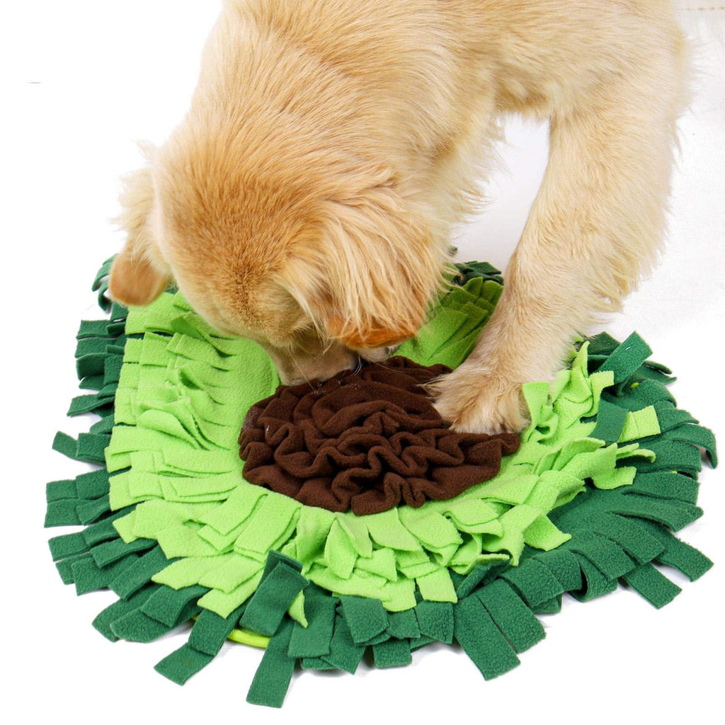 Dog Sniffing Mat