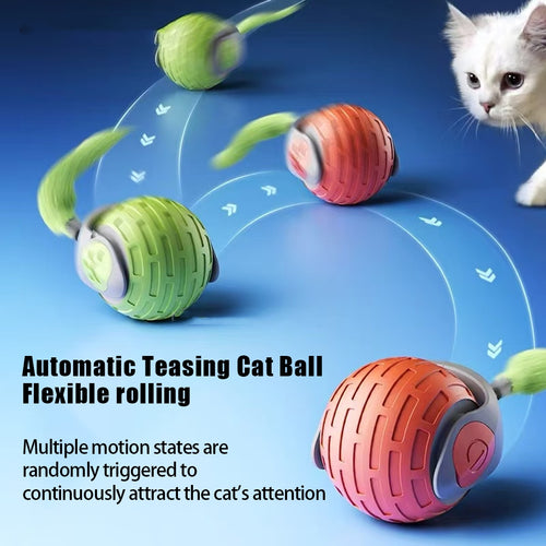 AutoRoll Teaser Ball
