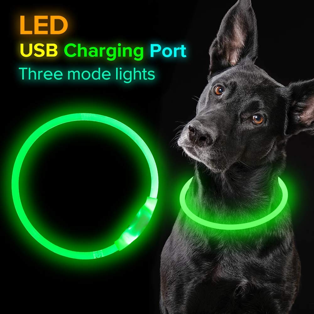 USB Rechargeable LED Safety Collar for Night Walks
