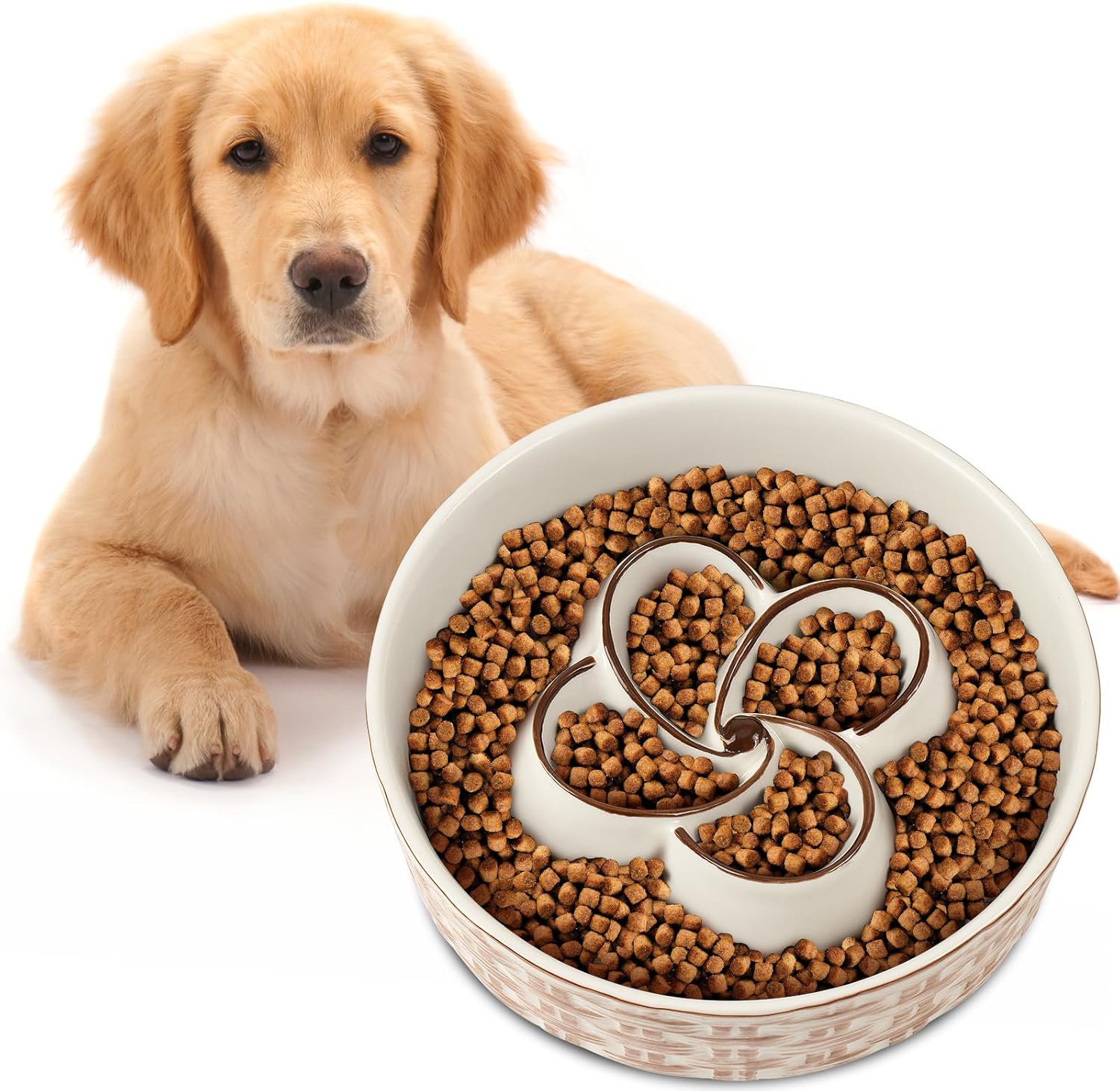 Slow Feeder Dog Bowl